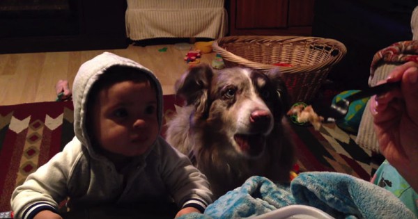 Dog Shocks Owner By Saying "Mama" Before Baby In Exchange For Treat