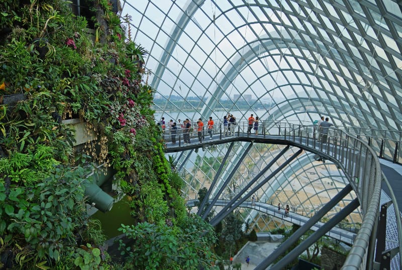 Cloud_Forest,_Gardens_by_the_Bay,_Singapore_-_20120617-03