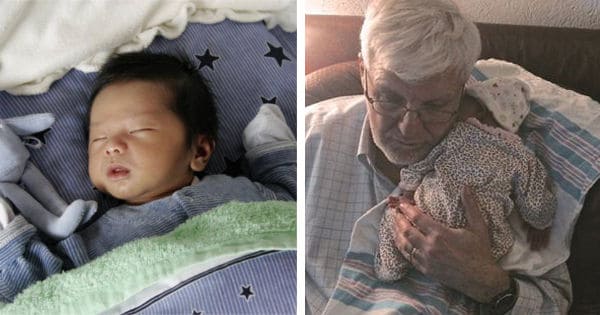 US Adoption Centers Calling For Volunteers To Cuddle And