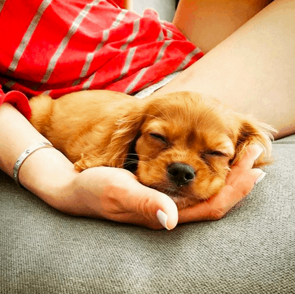 24 Tiny Baby Animals Who Are Too Adorable For This World