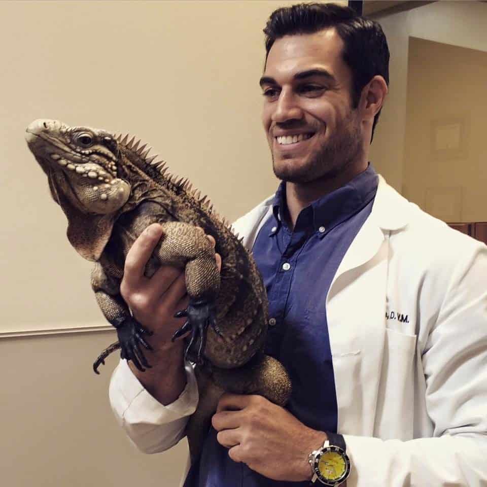 world-s-sexiest-veterinarian-helps-some-of-the-most-exotic-pets-in