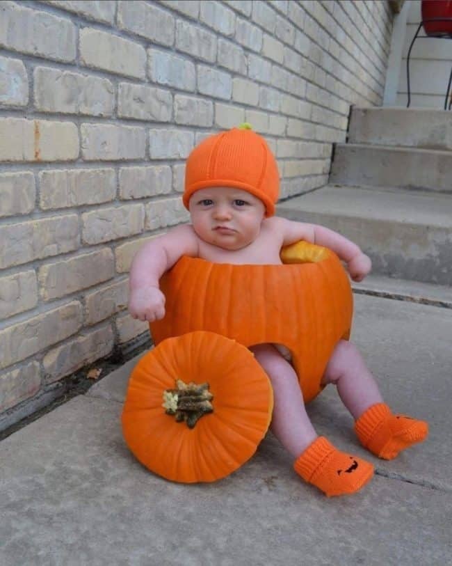 These Baby-In-A-Pumpkin Photoshoots Are The Most Adorable Fall ...