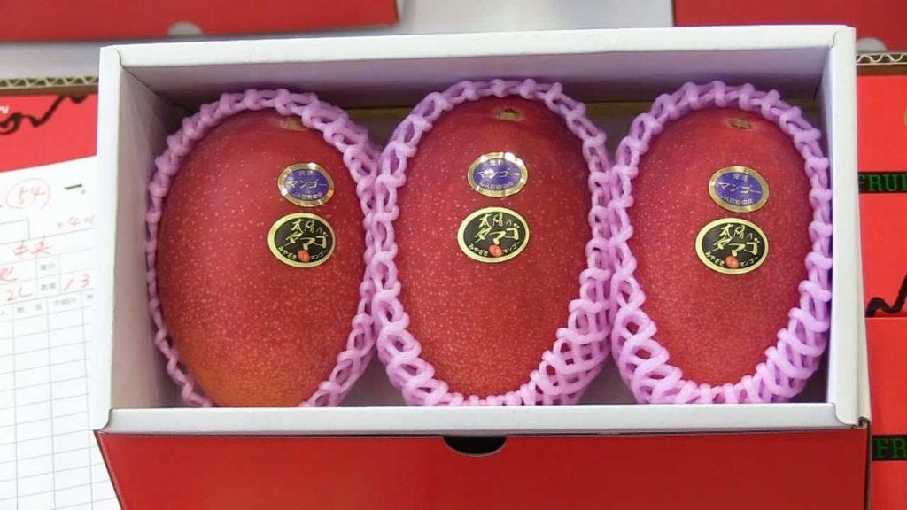 The 10 Most Expensive Fruits In The World Pulptastic