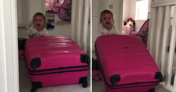 giant suitcase