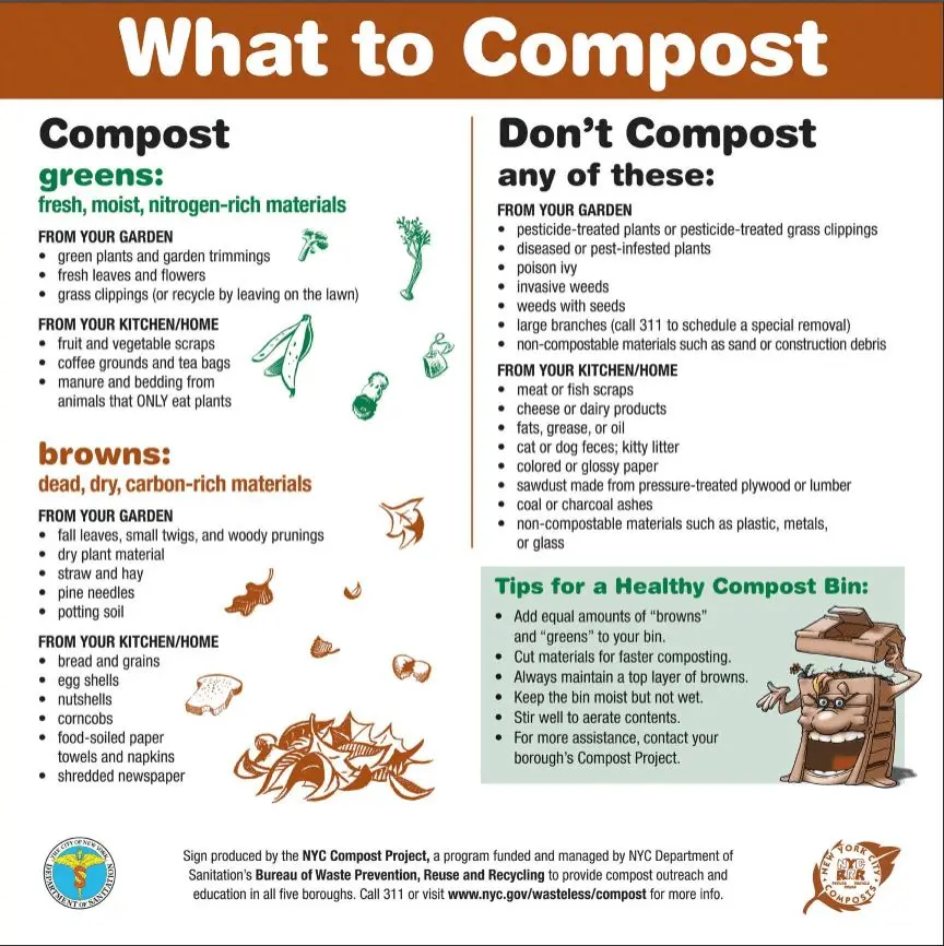 composting-101-how-to-turn-your-food-waste-into-garden-fuel