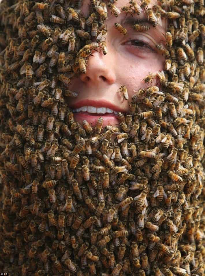 All smiles: University student Schipper smiles as thousands of bees cover most of her face