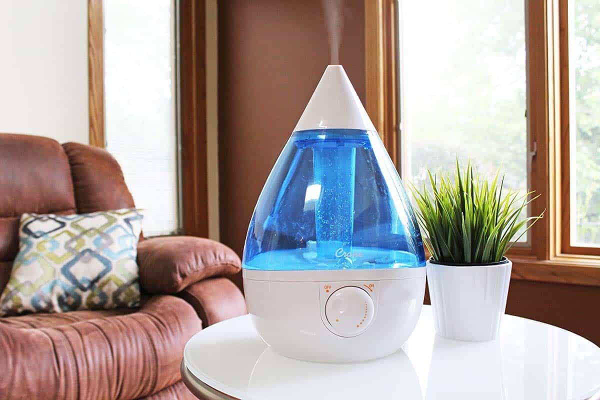 Humidifier vs Diffuser Which One Is Right For You? Pulptastic