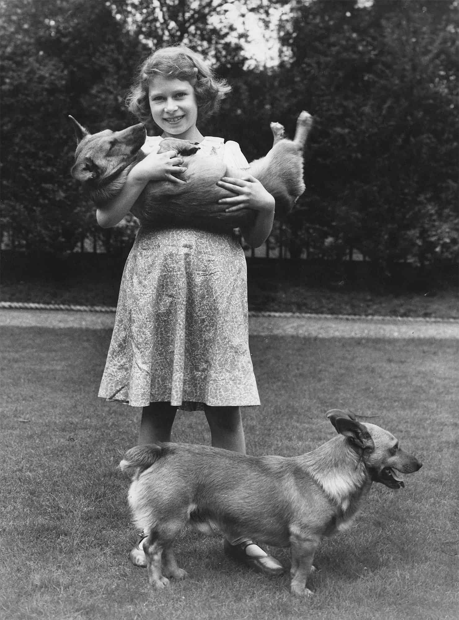 The Queen's Last Royal Corgi Has Died, Ending An 80-Year-Old Tradition