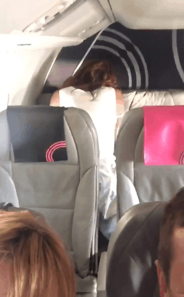 Couple Caught Having Sex In Their Seats On Silver Airways Flight Pulptastic