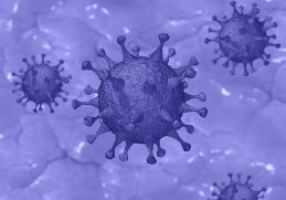 Fighting Coronavirus - Here's How Zinc Boosts Your Immune System Image