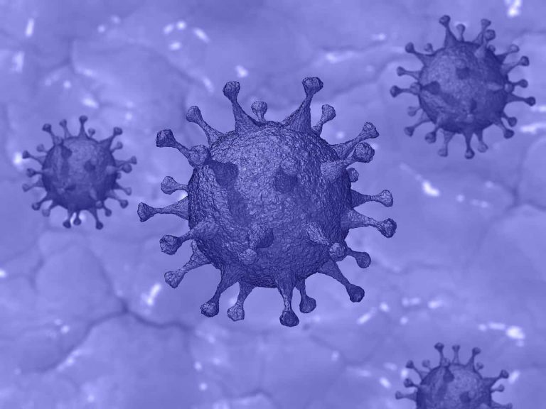 Fighting Coronavirus - Here's How Zinc Boosts Your Immune System Image