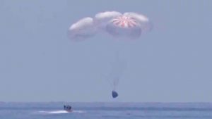 Dragon Capsule