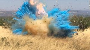 Gender reveal party