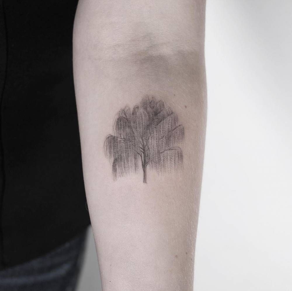 Top 25 Best Tree Tattoo Designs with Meanings  Styles At Life