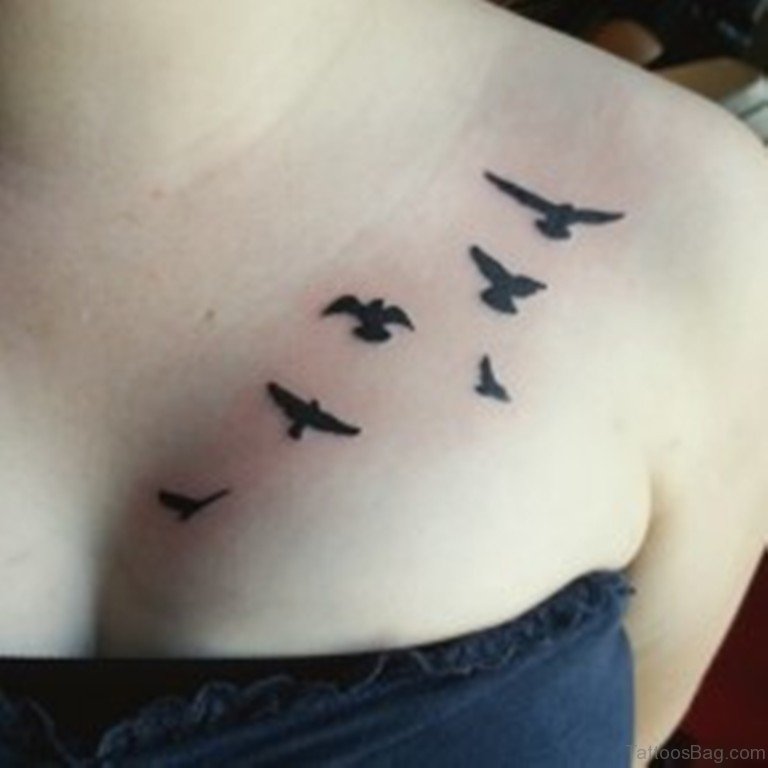 17. bird chest