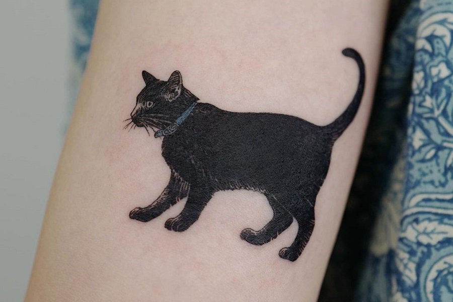 47 Cute Cat Tattoos For Women - Pulptastic