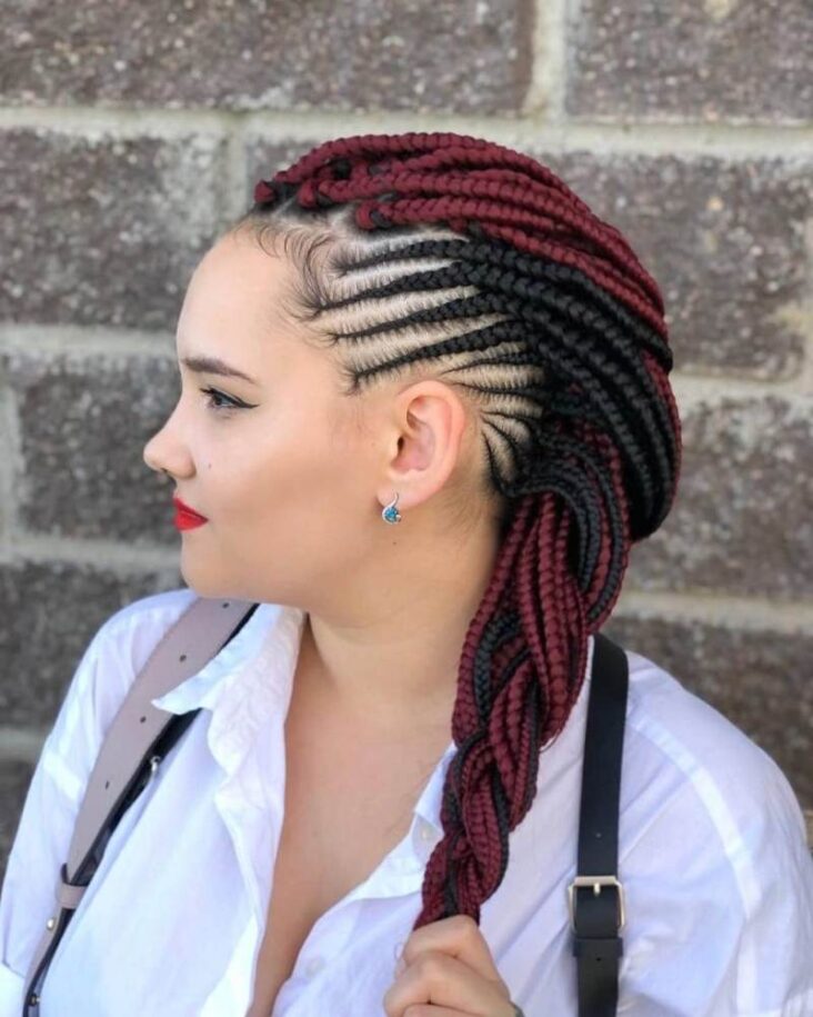 35 Stylish Lemonade Braids for 2022 Pulptastic