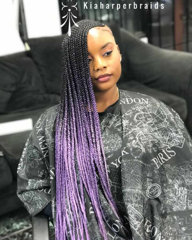 35 Stylish Lemonade Braids for 2022 Pulptastic