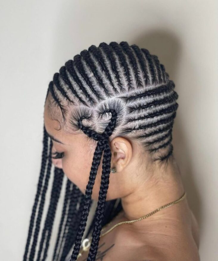 35 Stylish Lemonade Braids for 2022 Pulptastic