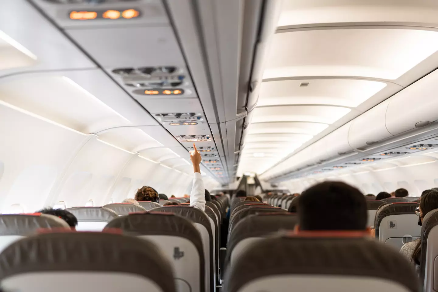 The passenger has divided opinion (Getty Stock Images)