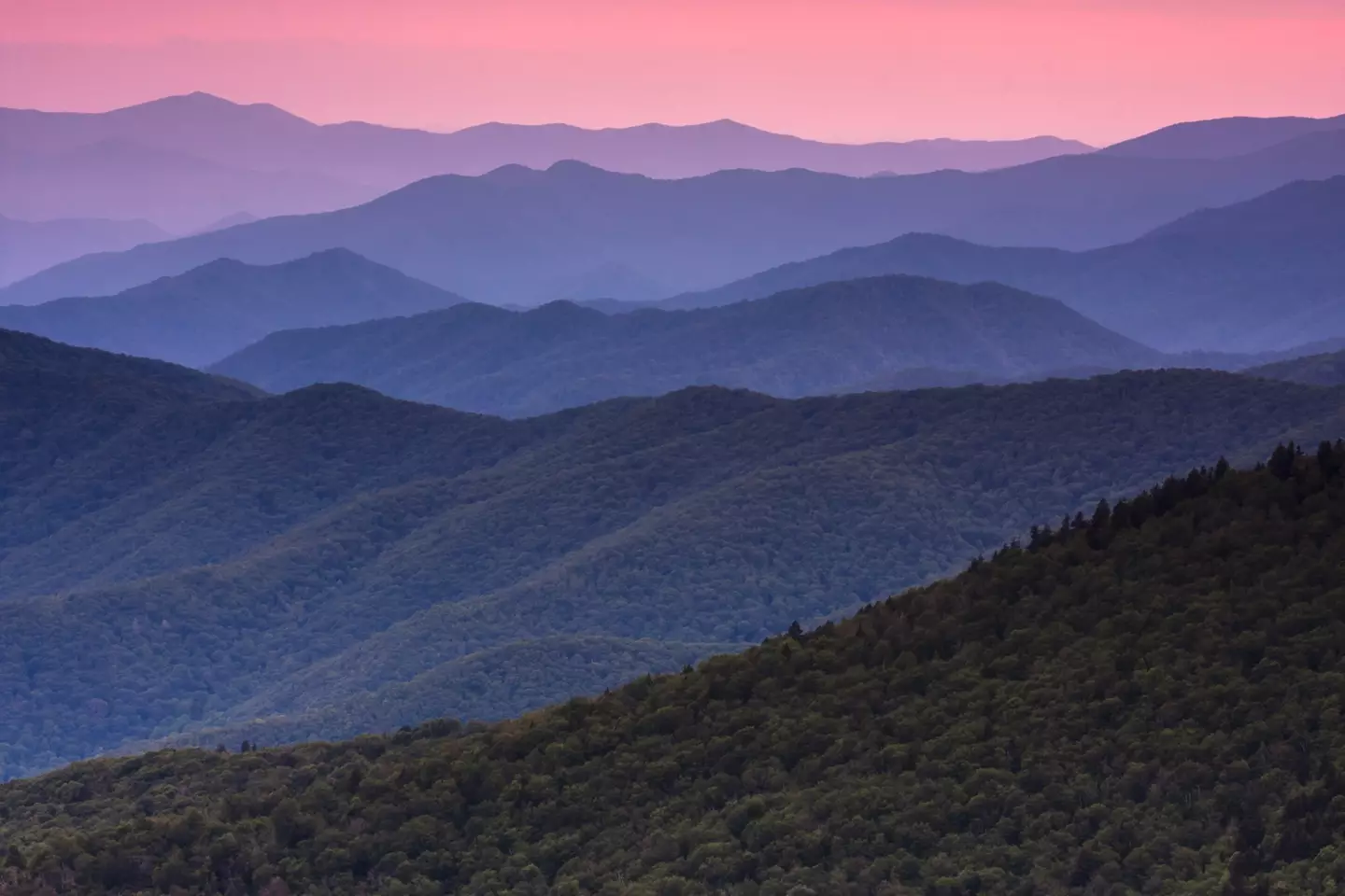 There have been claims of cannibals living in the Great Smoky Mountains National Park. (Getty Stock Image)