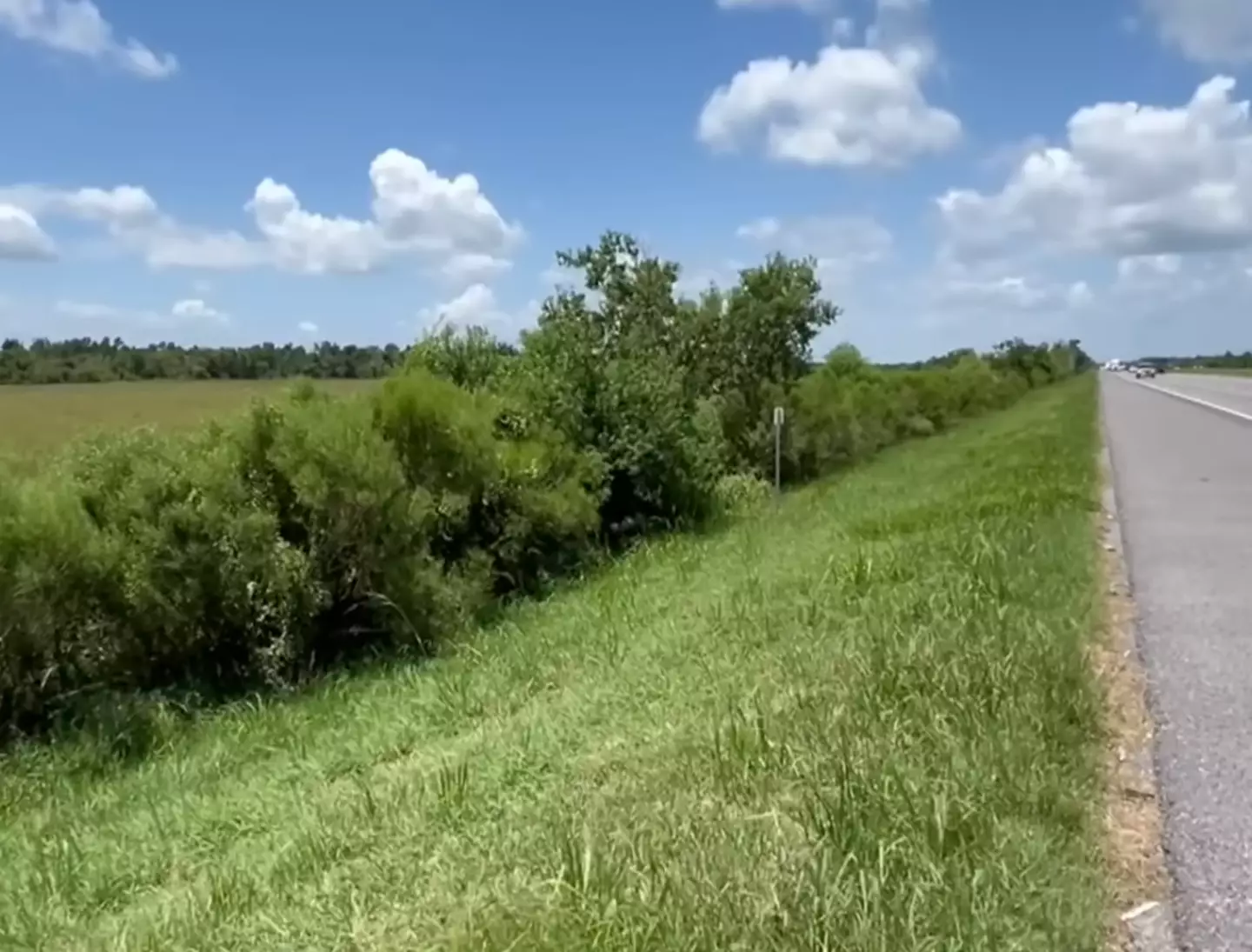 The baby was found crawling towards the highway. (12NewsNow)