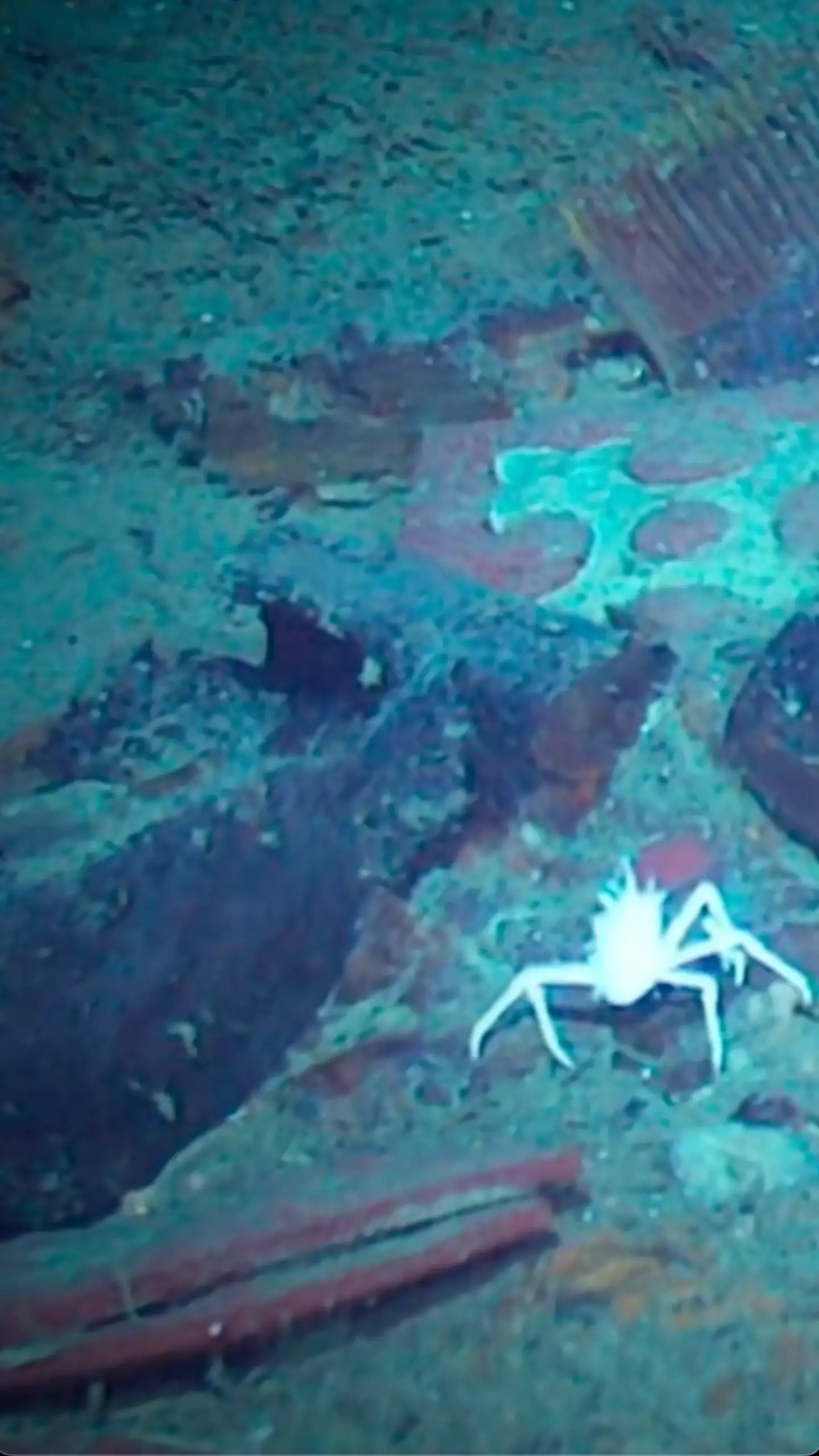 Shoes at the wreck of the Titanic. (CNN)