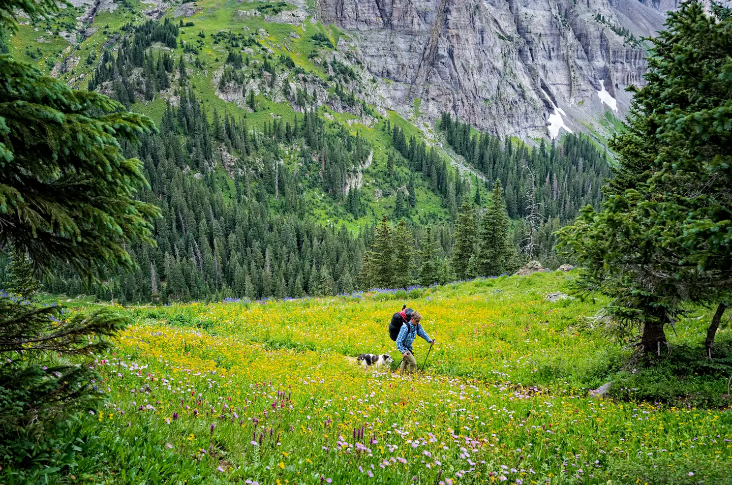 The hiker