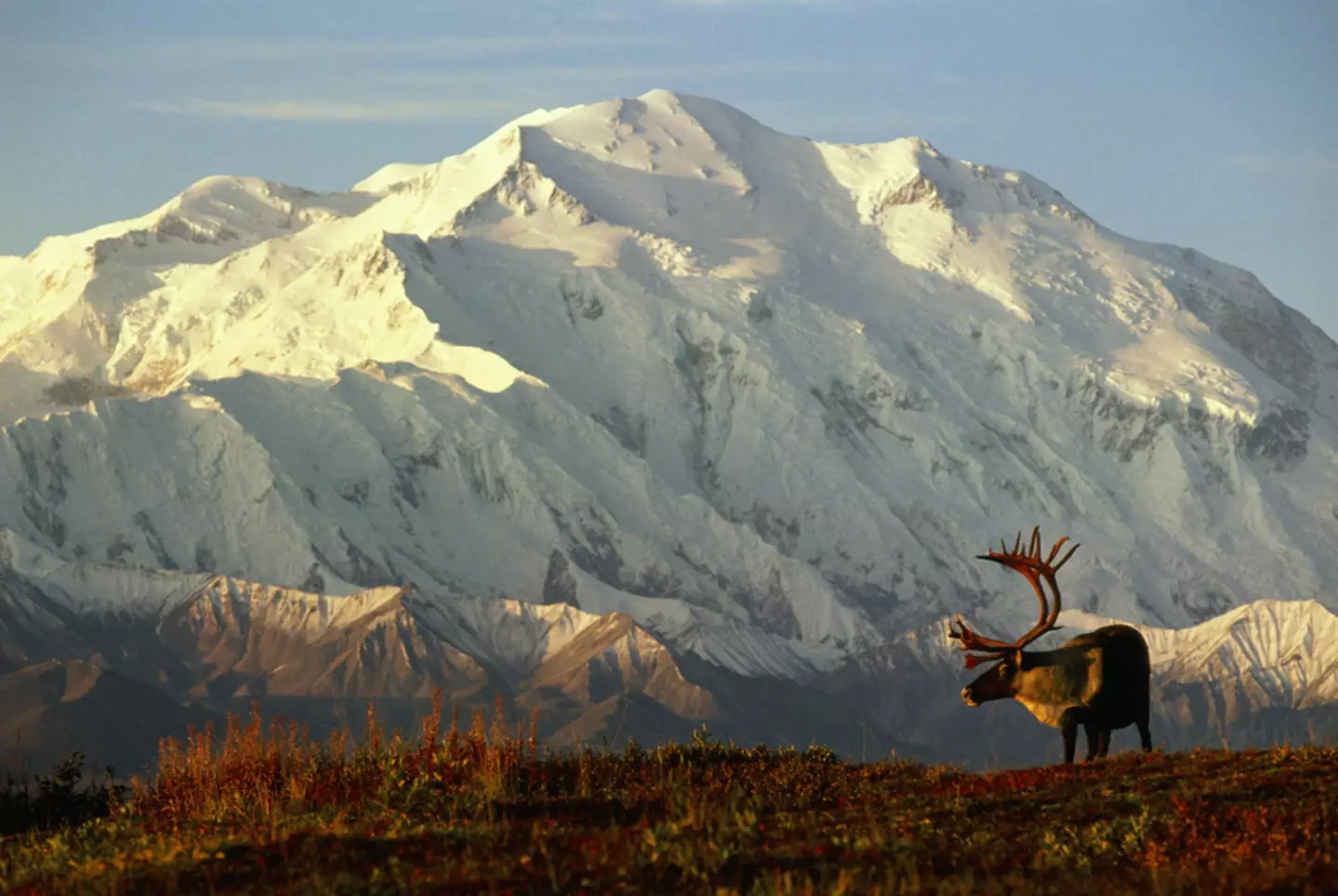 The attack took place in Alaska’s Katmai National Park. (Johnny Johnson/Getty)