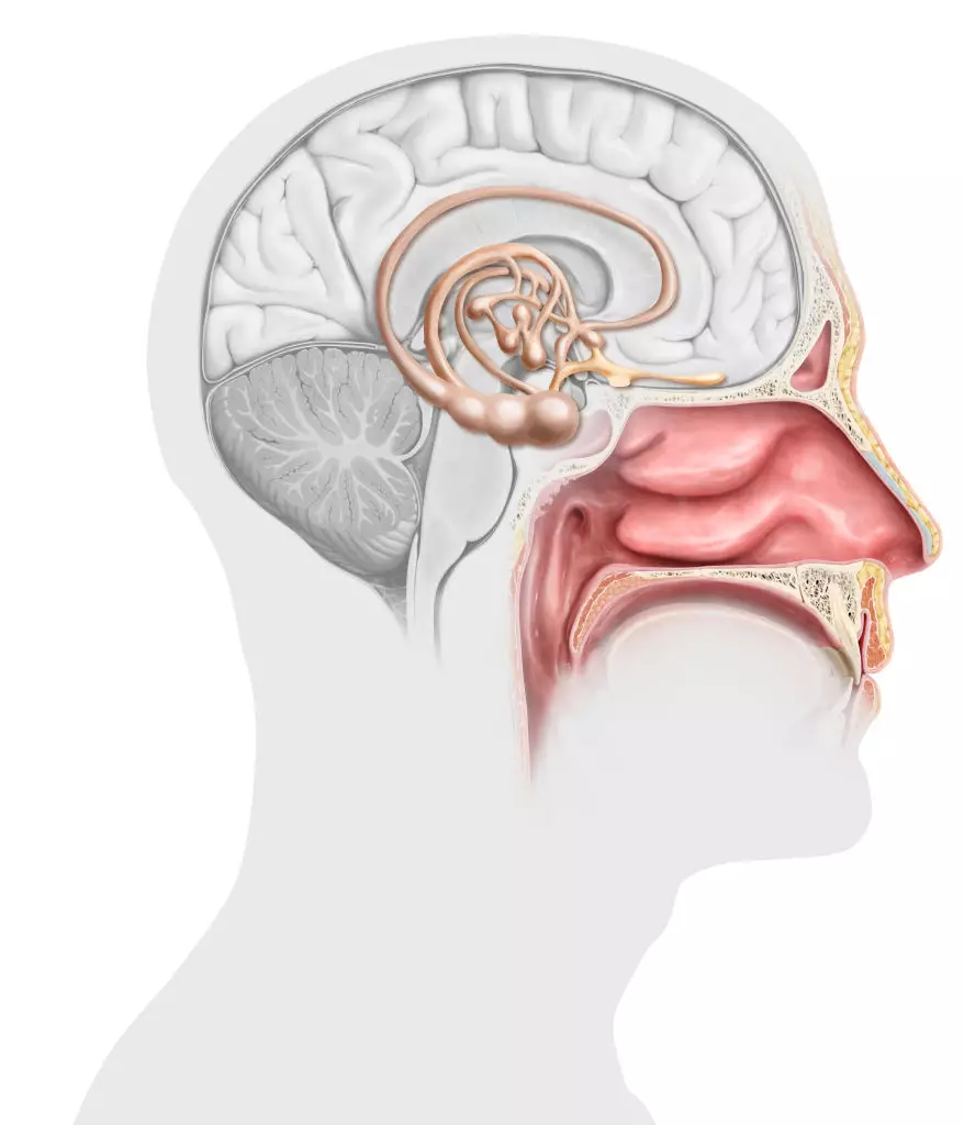 Image highlighting hygiene importance