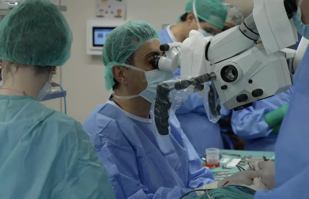 Successful face transplant surgery