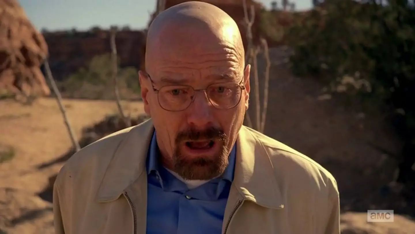 Sorry Walter, fans reckon this show is better. (AMC)