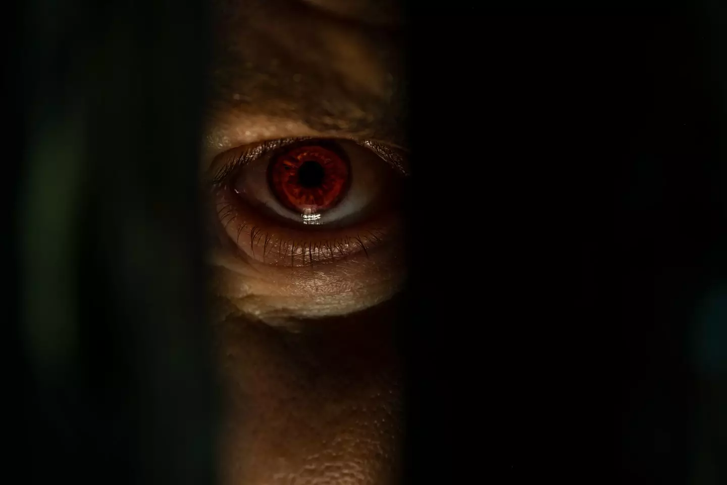 Do you believe in vampires? (Getty Stock Images/ D-Keine)