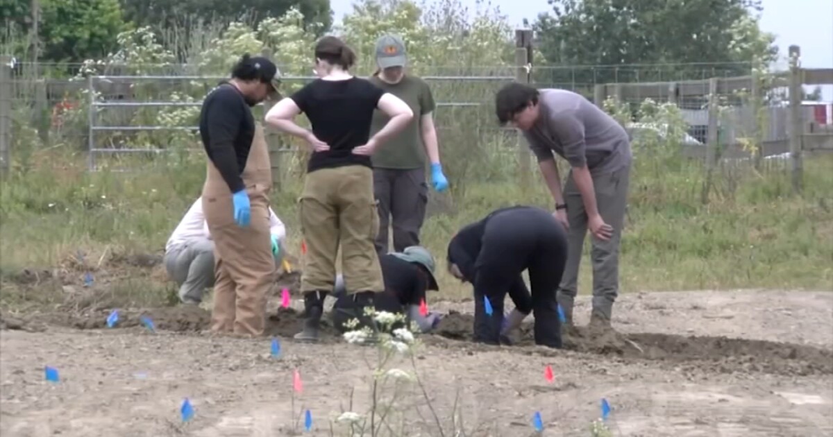 At least 117 dead dogs found in ‘horrific scene’ at California ‘no-kill’ shelter