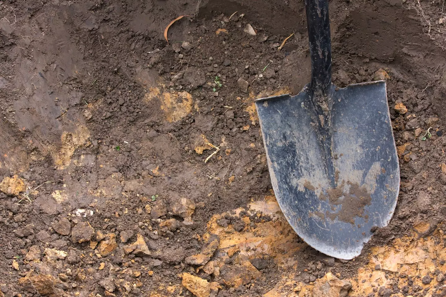Graves were dug up to check for vampires (Getty Stock Images/ MoMorad)