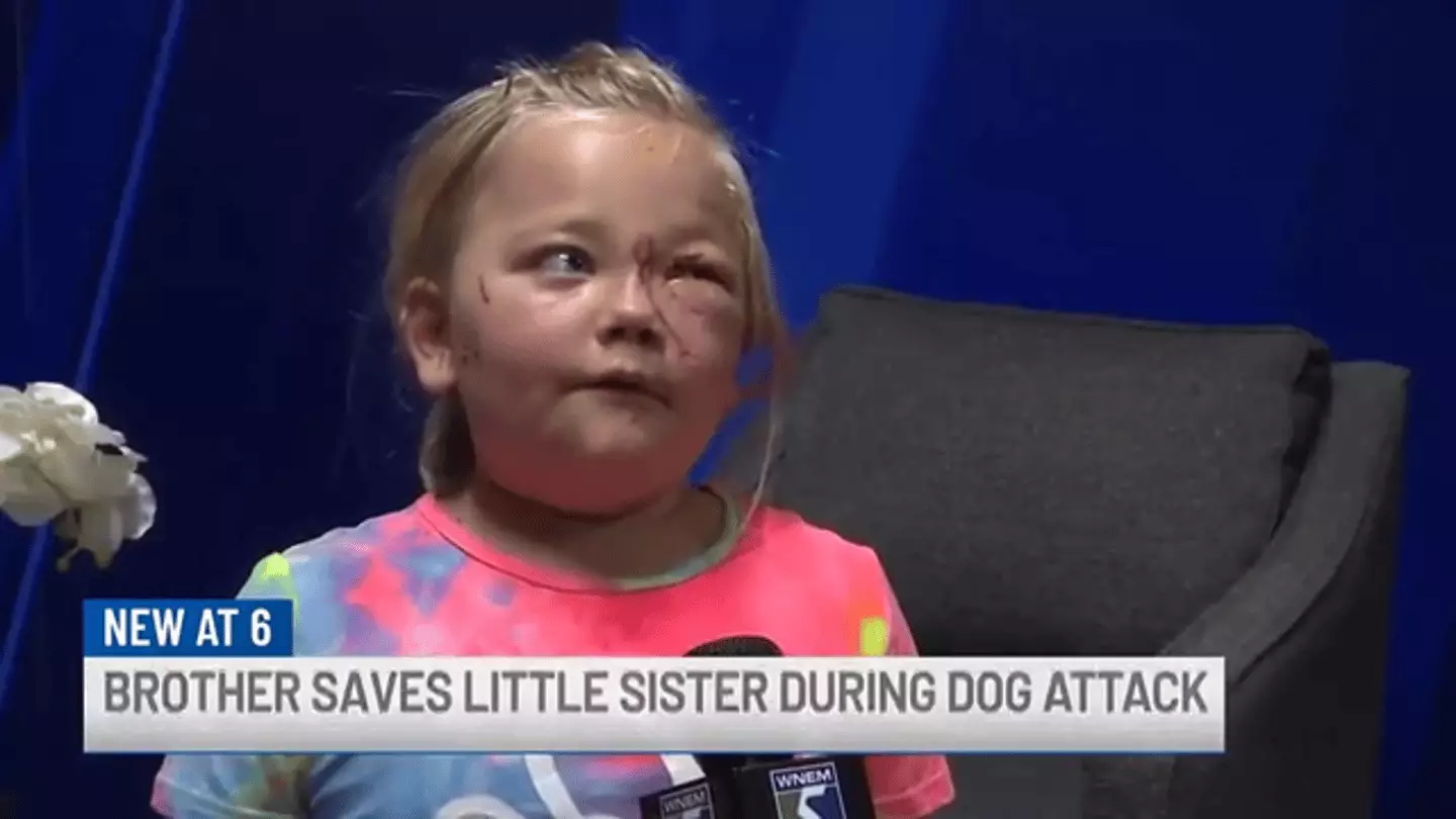Six-year-old Lillian has been left with extensive nerve damages and cuts to her face and neck. (YouTube/WNEM TV5)