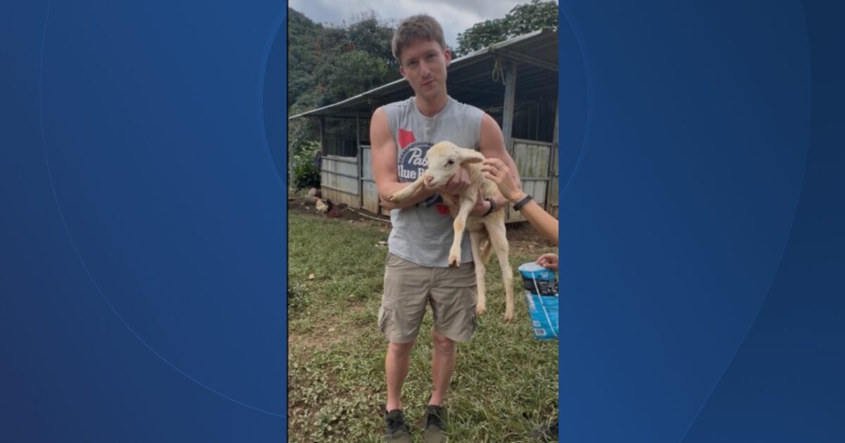 Ohio native Tyler Wilkin gunned down execution-style while camping on Puerto Rico beach — as pal reveals his final text