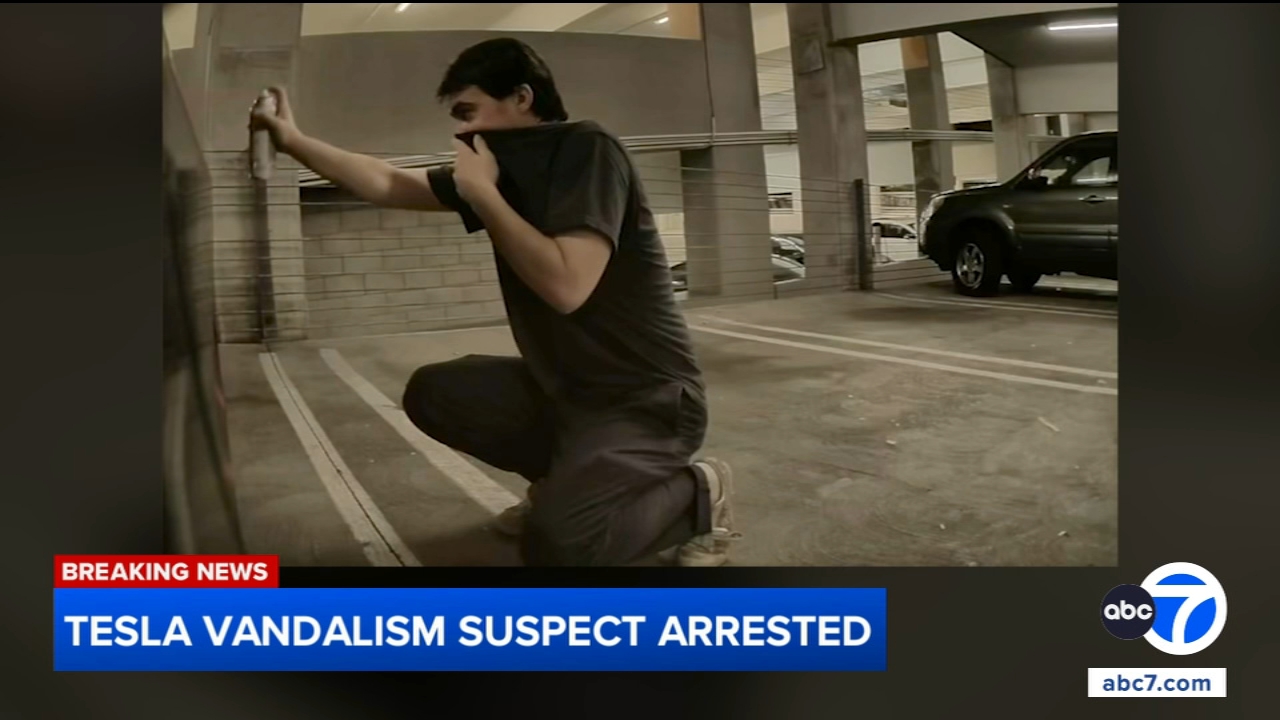 Max Sebastian Solomon, the suspect arrested in the Tesla vandalism spree