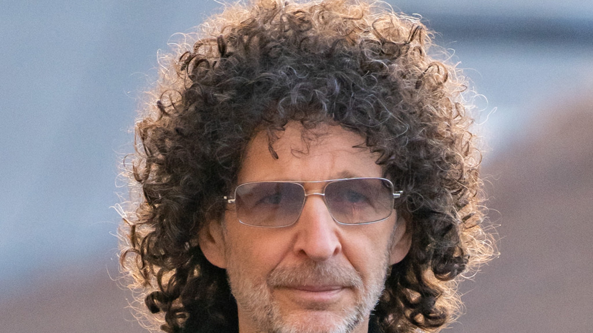 Beth Stern, 54, at center of animal rescue dispute claim