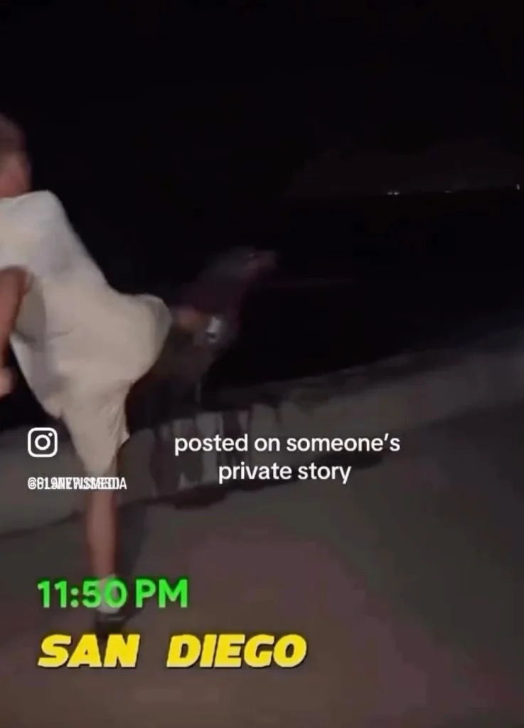 Federal officials investigate after a video appears to show a person kicking a California sea lion