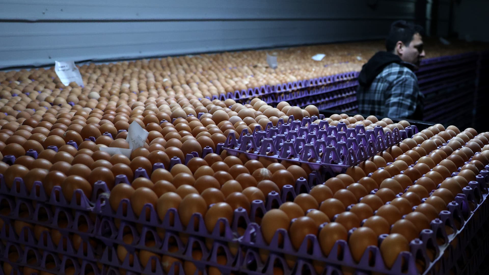 Egg producers will pay $3.3M and donate 53 million eggs to settle price fixing claims
