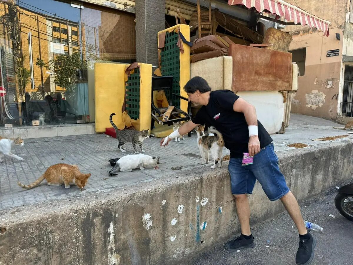 An animal rescuer cares for pets and livestock stranded by war in southern Lebanon