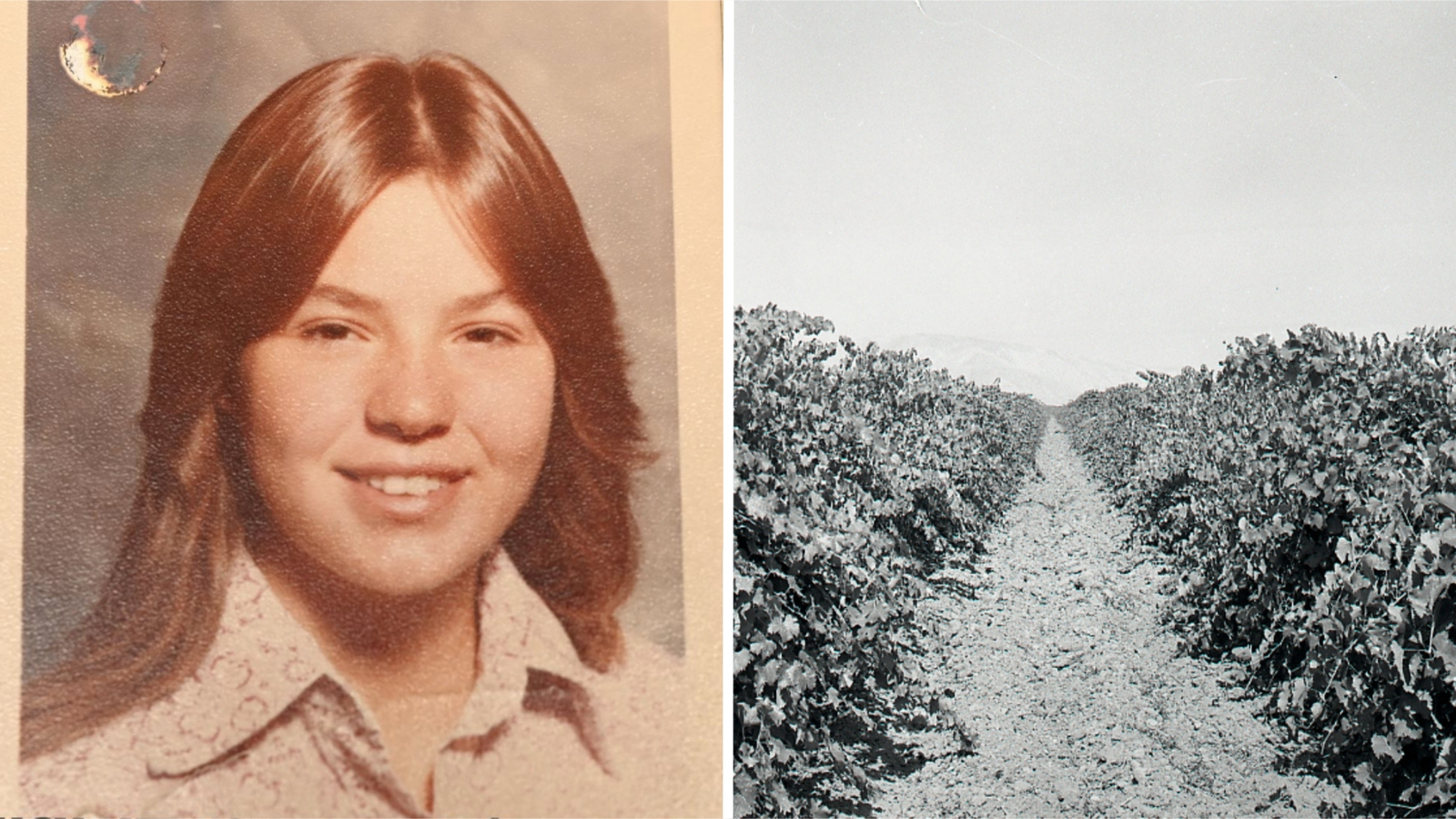 Teen murder victim found in California vineyard identified 48 years later