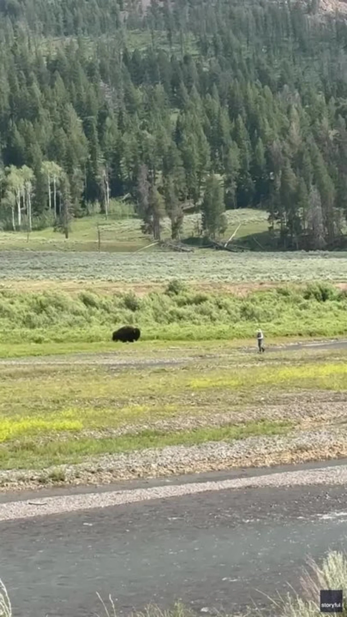 The fisherman, the man alerted to the bison