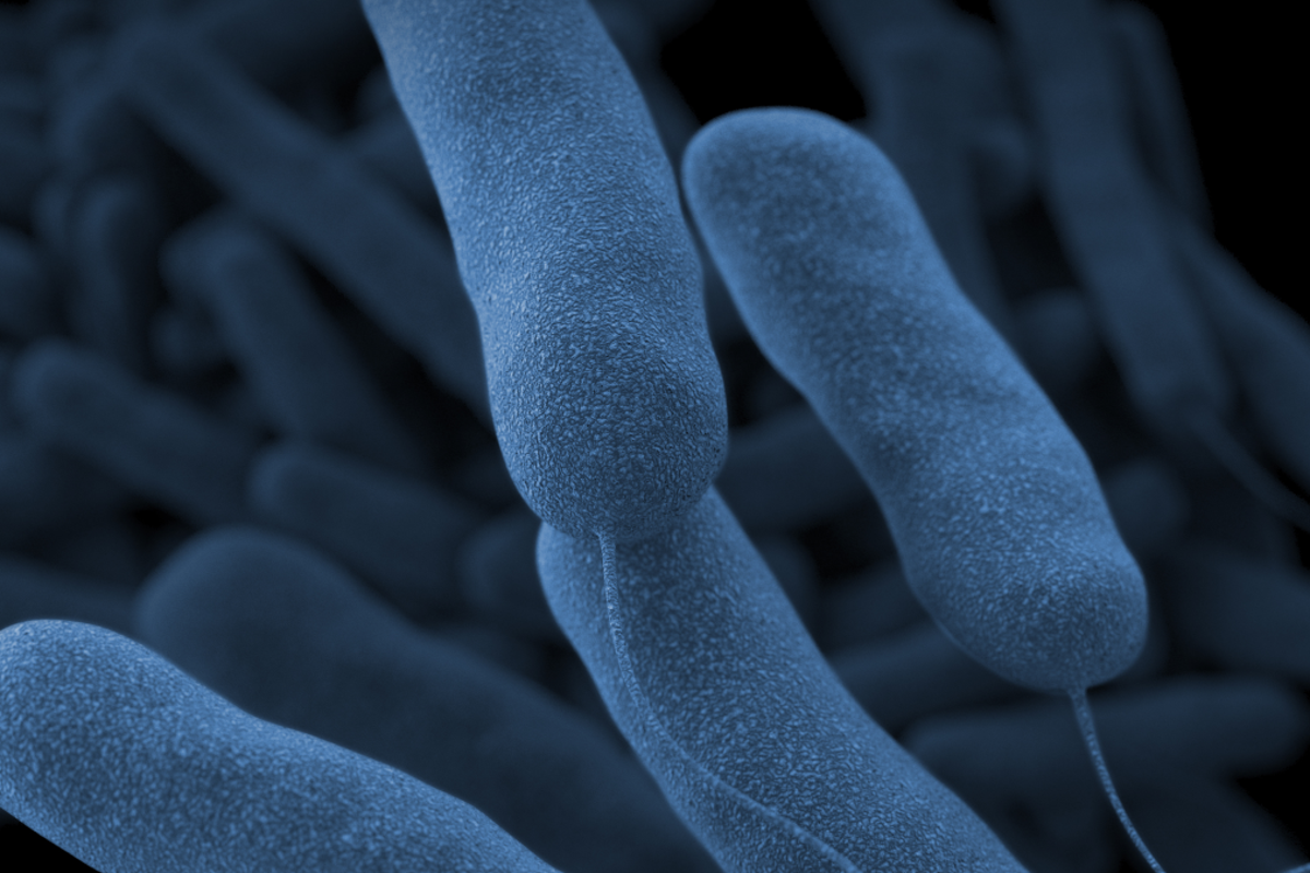 7th person dies in NYC Legionnaires’ disease outbreak