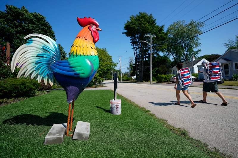 Giant metal roosters spread autism acceptance in Maine after town zoning spat