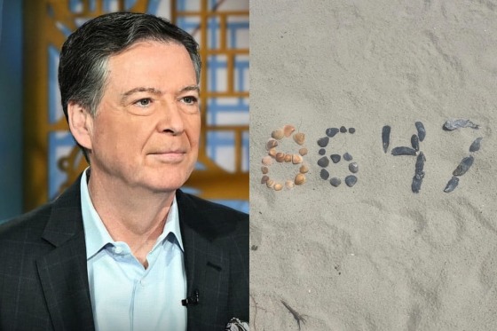 Investigators in Comey seashells case omitted key facts and distorted others, defense lawyers allege