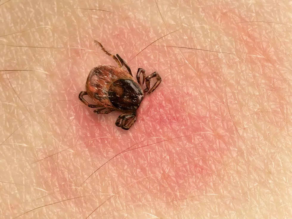 First case of untreatable, potentially fatal Bourbon virus confirmed in New York