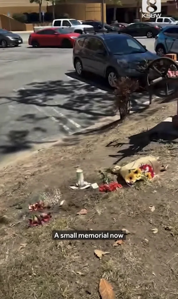California mall stabbing suspect’s twisted past revealed — before butchering beloved artist