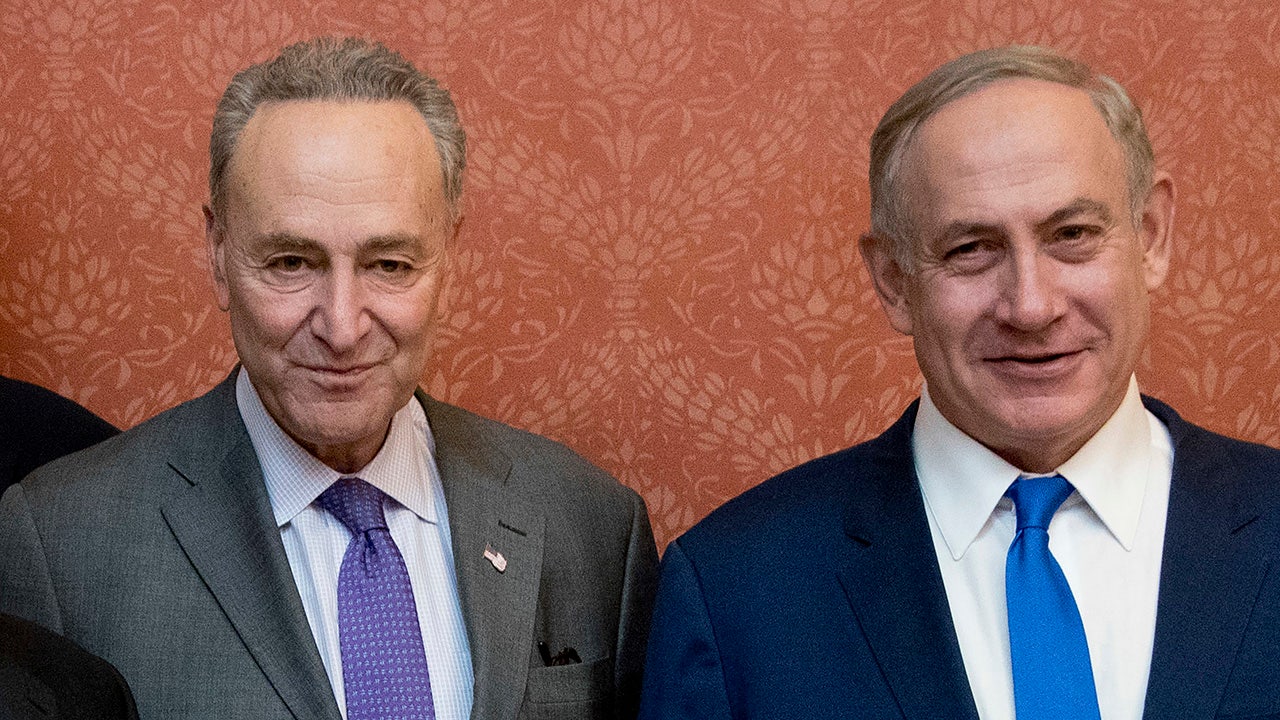 Schumer speaking during Public Citizen's anti-corruption forum